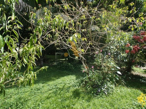 Imagem 16 de 17 de Terreno Em Vargem Grande - Est. Bandeirantes - Sqa0398j - 31971984