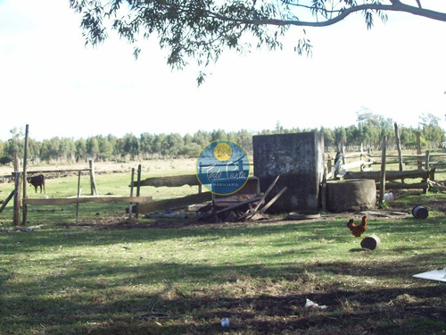 Chacra En Venta, Excelente Ubicacion, Venta, Chacra, Oportunidad, 13 Hectareas- Ref: 4769