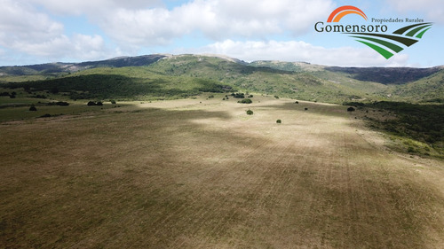Maldonado Campo Turístico Agrícola Ganadero 319 Has Con Casa Y Galpón