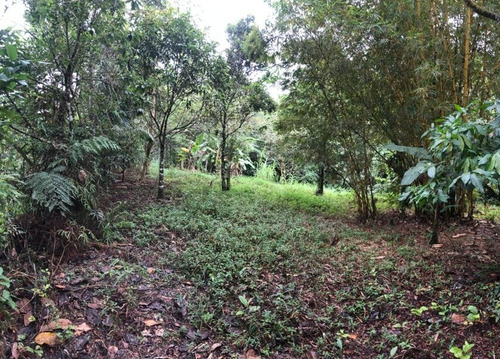 Imagem 11 de 12 de Terreno Medindo 465m², À Venda Em Itanhaém