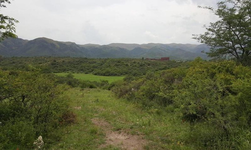 Imagen 17 de 20 de Chacra En Venta, Villa Giardino, Córdoba.