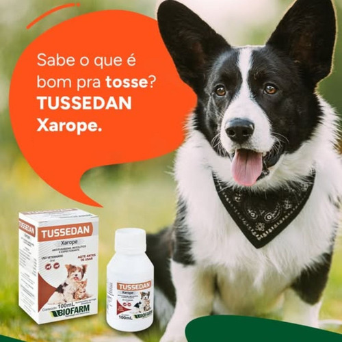 Remedio Caseiro Tosse Cachorro Tussedan Xarope 100ml