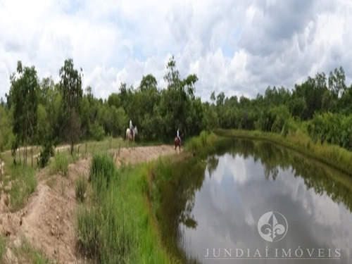 Imagem 26 de 30 de Vendo Ótima Fazenda Com 2337,00 Ha Em Buritizeiro, Norte De Minas Gerais, Gado E Cultura, Muita Água, Toda Formada. Documentação Ok. - Fa00004 - 4483814