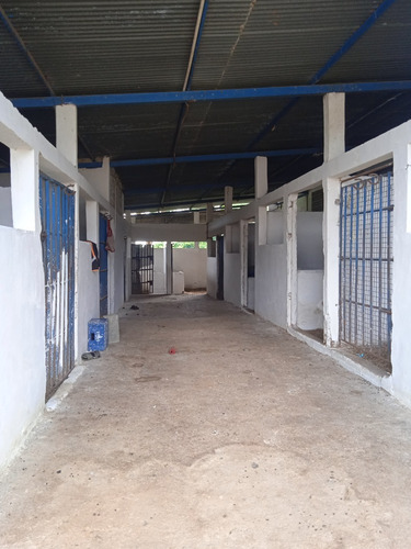 Imagen 19 de 25 de Finca Venta Lara Acarigua En Venta (gamelotal) De 251 Hectareas