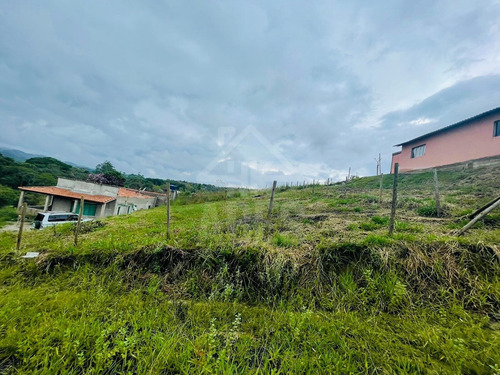 Imagem 7 de 7 de Terreno - Te00019 - 70532379