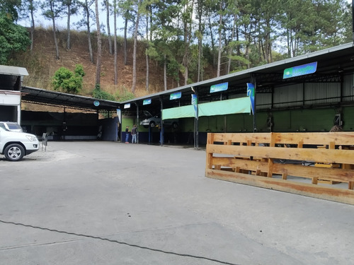 Imagen 4 de 18 de Best House Vende Galpon.