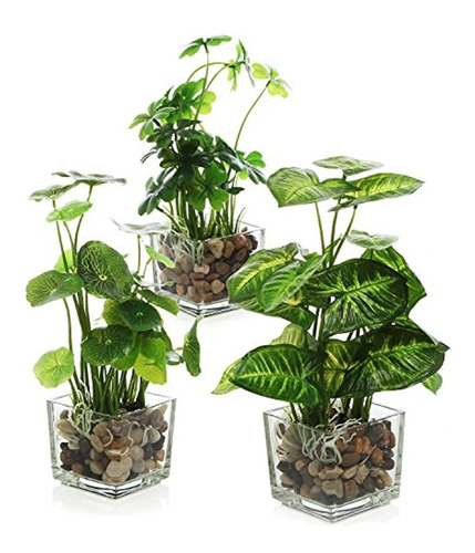 Plantas Artificiales Verde Con Macetas De Cristal 3 Piezas.