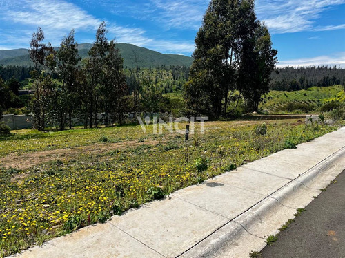 Sitio En Venta A Solo 7 Kilómetros De La Rotonda De Concón.