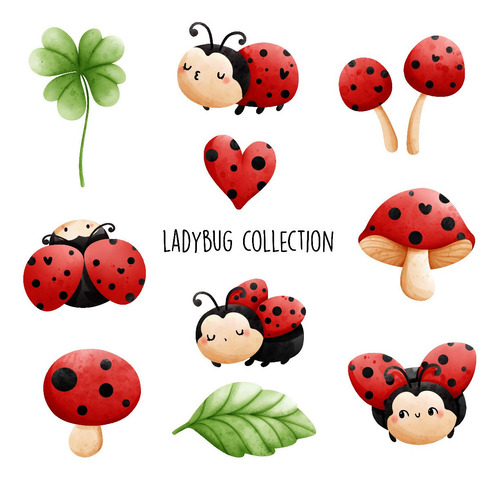 Clipart Vaquita De San Antonio Mariquita Ladybug Acuarela 10