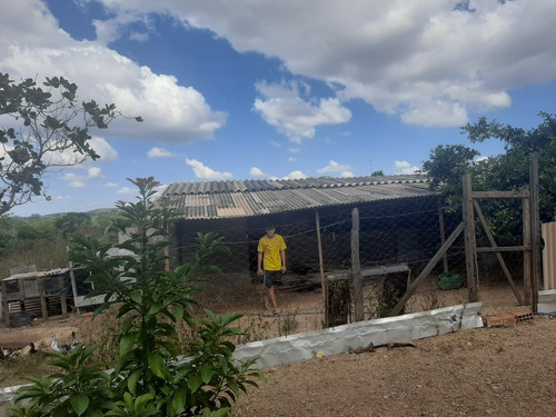 Chácara Frutífera Em Águas Lindas, Com Casa De 3/4