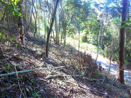 Imagem 1 de 6 de Terreno - Itaipava - Ref: 976 - V-976