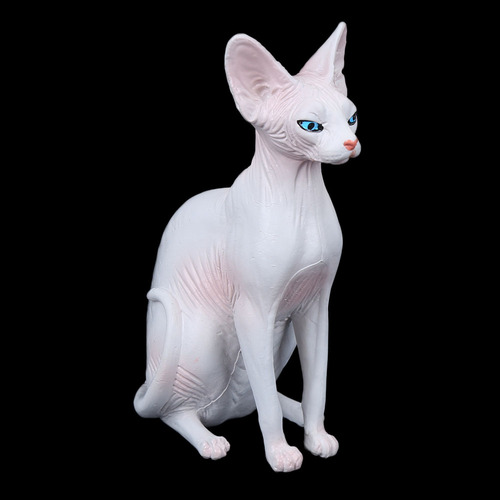 Modelo De Gato Sem Pelos, Simulação De Enfeites, Enfeites Do