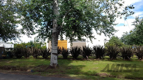Imagen 3 de 9 de Terreno - Roldan