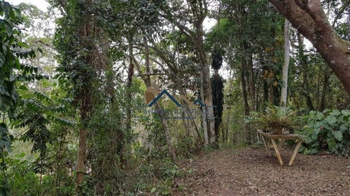 Imagem 2 de 15 de Área De 13 Mil M2 Corredor Industrial Em Embu - 256