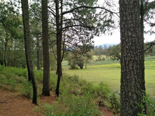 Imagen 11 de 14 de Terrenos En Venta A 15min De Valle De Bravo - Buen Precio