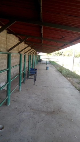 Imagen 2 de 9 de Venta De Finca En Santa Cruz De Aragua. Via El Guaril