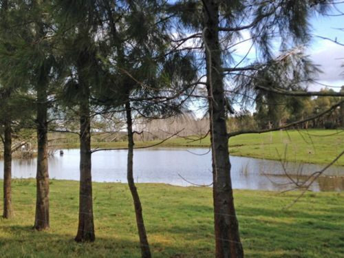Campo En Maldonado Ref. 4536