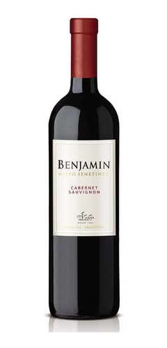 Vino Benjamín Nieto Cabernet Sauvignon X 750cc Caja X 6 Bot