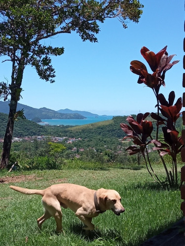 Um Sonho Na Floresta, Chácara Cachoeira E Praia Tudo Perto.