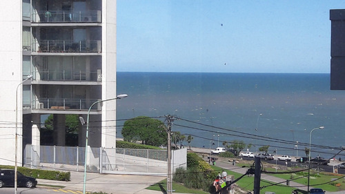 Imagen 2 de 30 de Departamento De 2 Ambientes Playa Grande Roca 100