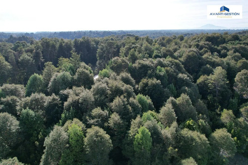 Venta De Parcela Sector Monte Verde Puerto Montt