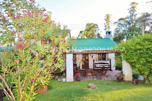 Imagen 24 de 30 de Chacra De 15 Hás Con El Confort De Hermosa Casa Reciclada, Barbacoa Y Piscina Climatizada.