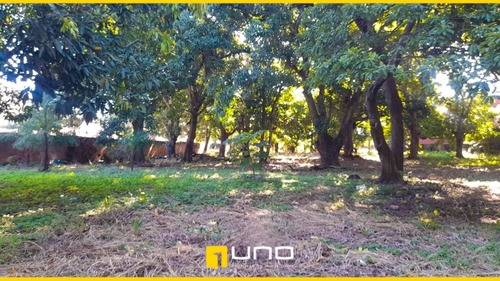 Imagen 4 de 6 de *en Venta Terreno Zona Urbana*ubicación:( Entre Av Alemana