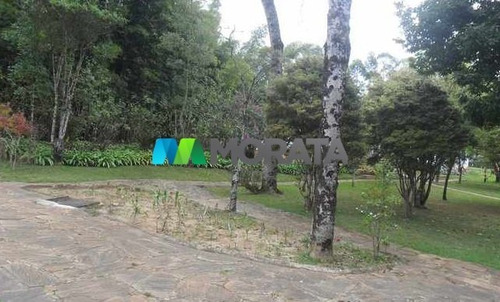 Imagem 7 de 15 de Fazenda - Zona Rural - Ref: 2827 - V-mta2827