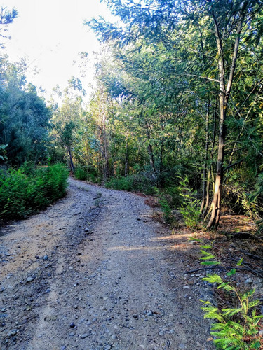 Condominio Orilla Embalse Tutuven Km 15 Cauquenes-chanco