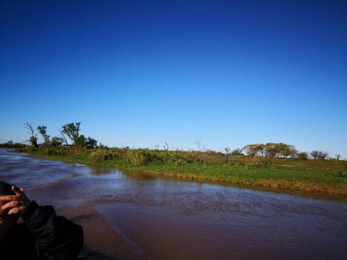 Imagen 11 de 29 de Campo De Isla Ganadero, 2.000 Has Sobre El Paranacito