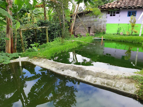Se Vende Finca En La Victor Circasia - Montenegro