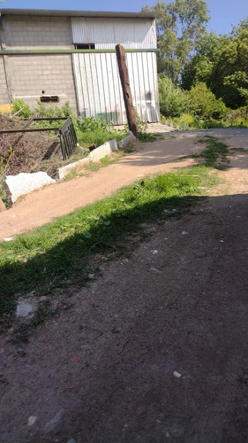 Local - Huerta Grande