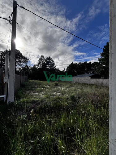 Terreno En Venta En El Pinar