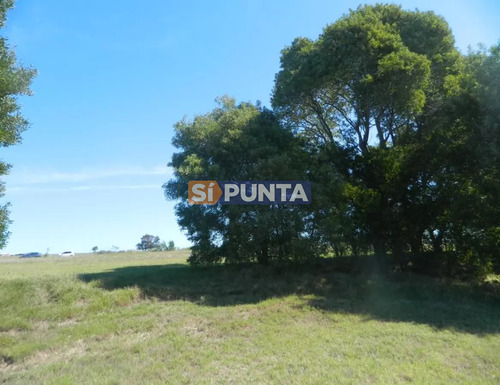 Lote En Venta, Laguna De Los Cisnes
