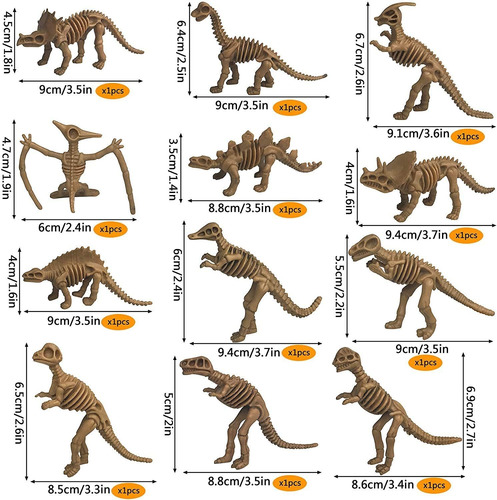 48 Pcs Fósil De Dinosaurio Esqueleto Esqueleto Del Dinosauri