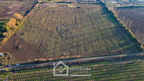 Agrícola En Arriendo En Teno