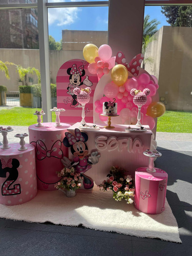 Servicio De Decoración De Eventos Infantiles Temáticos