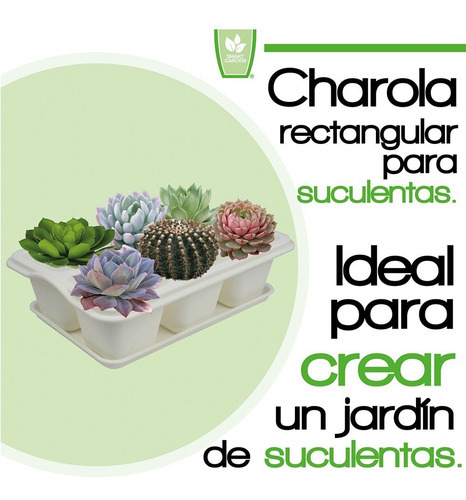 Charola Moderna Rectangular Para Suculentas - Smart Garden Color Blanco