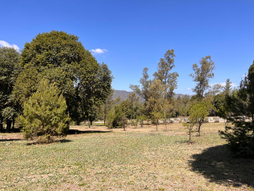 Lotes En Venta Villa General Belgrano El Bosquecillo Cód 2144