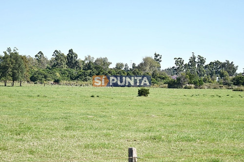 Imagen 16 de 19 de Chacra San Carlos Ruta 9