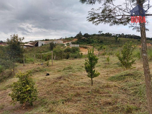 Imagem 3 de 15 de Terreno À Venda, 1225 M² Por R$ 72.500,00 - Pirucaia - Mairiporã/sp - Te0364