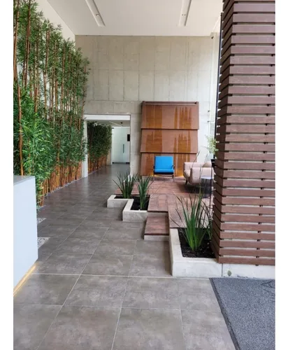 Vendo Apartamento Chico