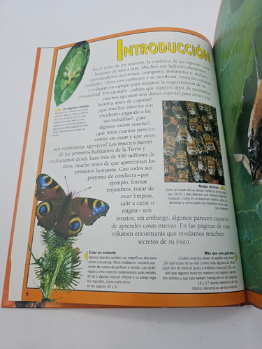 Los Insectos Bajo El Microscopio La Conducta (Usado)