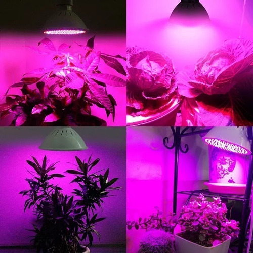 Luz Led Lampara Crecimiento Indoor Cultivo Interior 20 W