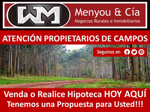 Venta Compra Campo 200has 2500has Agricola Forestal Ganadero