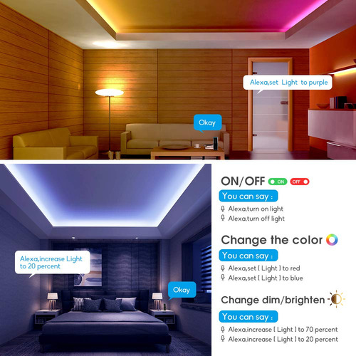 Controlador Led Wifi Rgbw Gidealed Smart De 2 Salidas Y 5 Pi