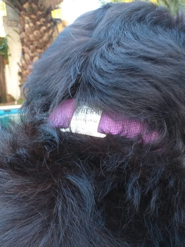 Chapa Identificacion Perros Mascota Chapita Las Originales