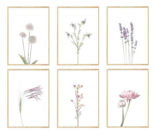 6 Cuadros Florales, De 35x45, Lamina Y Marco S/vidrio