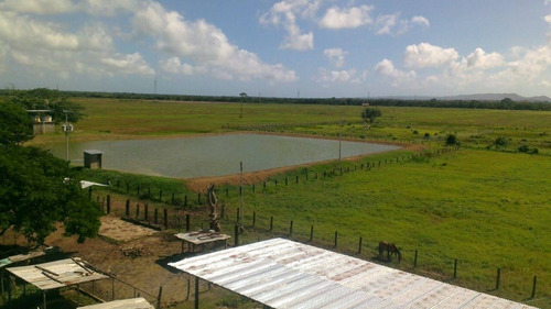 Imagen 13 de 14 de Venta Finca En Falcón Tucacas Oportunidad Cod. 423619