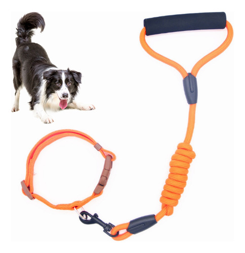 Conjunto Correa Alpinista Con Collar Ajustable Para Perros